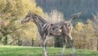artista-faz-esculturas-de-cavalos-com-troncos_12