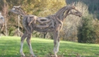 artista-faz-esculturas-de-cavalos-com-troncos_13