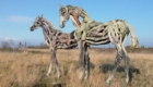 artista-faz-esculturas-de-cavalos-com-troncos_2
