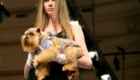 modelos-caninos-invadem-a-pet-fashion-week_6