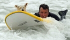 surfe-canino_8