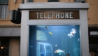 cabine-telefonica-vira-aquario-na-franca_2