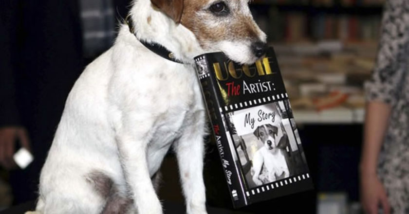 Uggie, durante o lançamento de seu livro de memórias - Crédito: divulgação