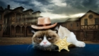 grumpy-cat-john-wayne