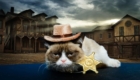 grumpy-cat-john-wayne