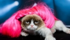 grumpy-cat-nicki-minaj