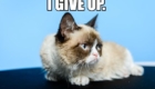 grumpy-gives-up