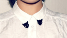colarinho gato