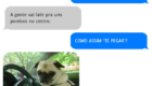 SMS_cachorro_11
