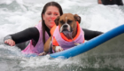 Surf-City-Surf-Dog-surfer-surfing-5