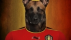 Bélgica – Belgian Shepherd