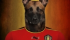 Bélgica – Belgian Shepherd