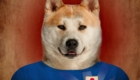 Japão – Akita Inu