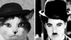 15 – Charles Chaplin!