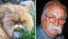 8 – Com o bigode do ator Wilford Brimley