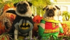 Batman e Robin