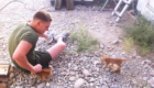 Filhotes de gato encontrado no Afeganistão
