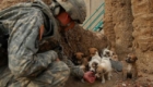 Soldado resgata filhotes em campo de guerra