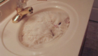 gatos-camuflagem-pia