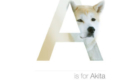 Akita