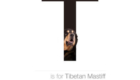 Mastiff Tibetano