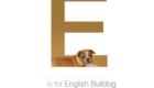 Bulldog Inglês