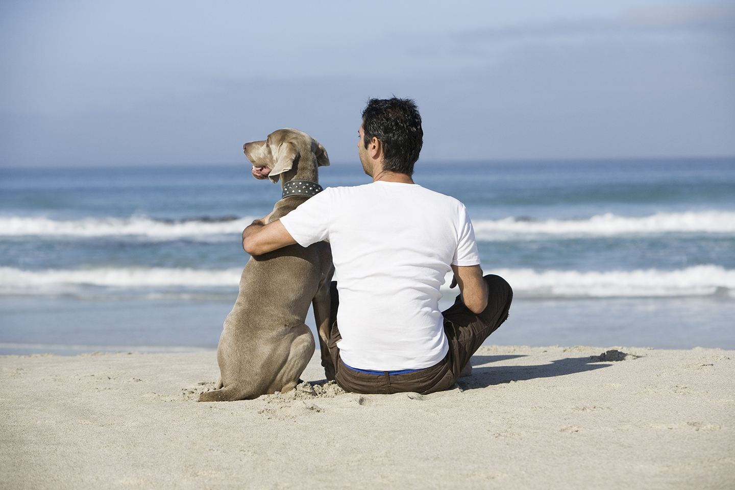 Donos De Pets Preferem A Companhia De Animais A Humanos Diz Pesquisa donos-de-pets-preferem-a-companhia-de-animais-a-humanos-diz-pesquisa