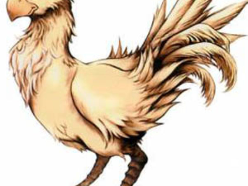 Chocobo