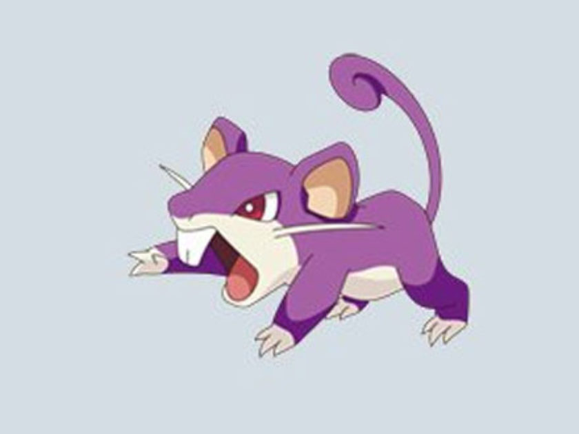 Rattata